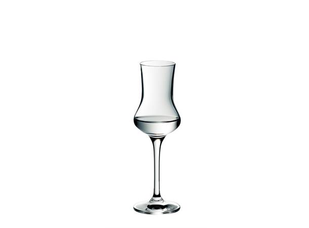 WMF ROYAL Grappaglass 9,5cl Ø:55mm H:173mm 9,5cl